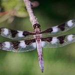 Randy Bennett - @randy_bennett67 - Instagram