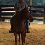 Randy Bentley - @randybentley50 - Instagram
