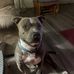 Randy Bentley - Facebook
