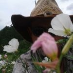 Randy Bentley - @billy_3800 - Instagram
