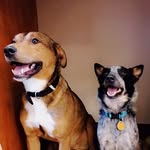 Randy & Bessie - @bessieb_randyr - Instagram