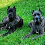 Randy Bessling - @randybessling - Instagram
