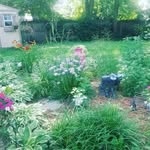 Randy Beyer - @randybeyer - Instagram