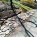 Randy Bickers - Facebook