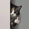 RandyChan. - @randygaming1986 - TikTok