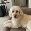Randy Byrge - @randy.byrge - TikTok