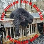 Randy Blankenship - @randyblankenship5 - Instagram