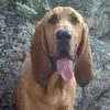 Randy Blinn - @randy.blinn - TikTok
