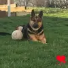 randybohn211 - @randybohn211 - TikTok