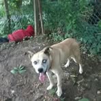 Randy Boles - Facebook
