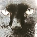 Randy Bolick - @randy.bolick.9 - Instagram