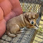 Randall Bonds - Facebook