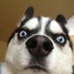 boofy - @randy.booth - Instagram