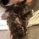 Randy Booth - @rannell66 - Instagram