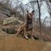 Randy Borowski - Facebook