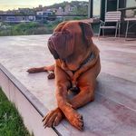 randito - @randy_bordeaux - Instagram