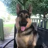 randyboorman - @randyboorman - TikTok
