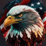 🇺🇸Randy_TruckerUSA🇺🇸🦅 - @randy_bornusa - Instagram