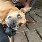 Randy Bos - @randybos - Instagram