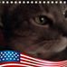 Randy Bost - Facebook