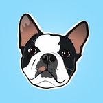 Randy Emilio - Boston Terrier 🐾🐶 - @soyrandyboston - Instagram