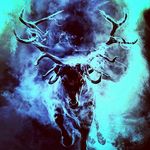 Randy Lee Bost Jr Rj - @randyleebost - Instagram
