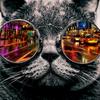 Randy Bouladier - @randy.bouladier - TikTok