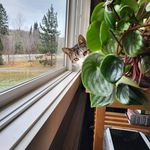 Randy Bourque - @randyjulie5 - Instagram