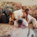 Randy Bowles - Facebook