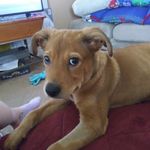 Randy Bowne - @randybowne - Instagram