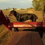 Randy Box - @randy.box - Instagram