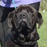 Randy Boylan - @randy.boylan - Instagram