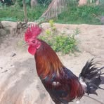 Randy Bulan - Facebook