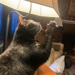 Randy Brackett - @amusicalheart1 - Instagram
