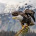 Randy Brady - Facebook