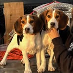 Randy Bragg - Facebook