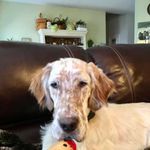 Randy Brannon - @randy.brannon.3 - Instagram