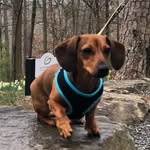 Randy Bratton - @bratton_randy - Instagram