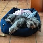 randy.brenner - @randy.brenner - Instagram