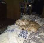 Randy Bretz - Facebook