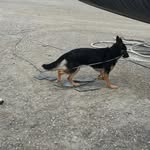 Randy Bretzer - @randybretzer465002319 - Instagram