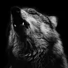 Randy Brickey - @randy.brickey8 - TikTok