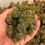 williamsmark - @randybricks343 - Instagram
