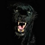 Randy Brigham - @promenchebac1984 - Instagram