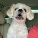 Randy Brimmer - @that_effer_randy - Instagram