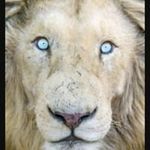 Randy Brinkman - @randy.brinkman.3 - Instagram