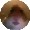 Randy Britt - @ryglixzyy - TikTok
