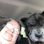 Randy Wolfman Britt - @britt.randy - Instagram
