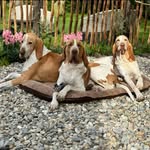Rand Brouwer - @randbrouwer - Instagram