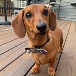 Randall Buckingham - @life_of_randall_ - Instagram